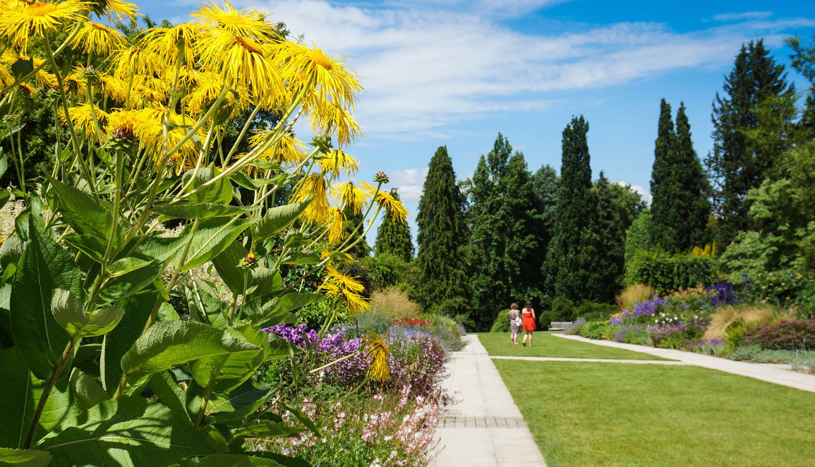 Sir Harold Hillier Gardens in the Test Valley